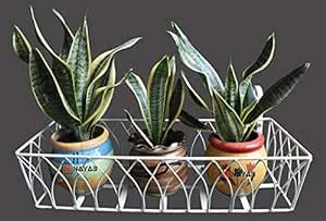 NAYAB Vintage Design Plant Stand for Railing Fence Wall Balcony ...
