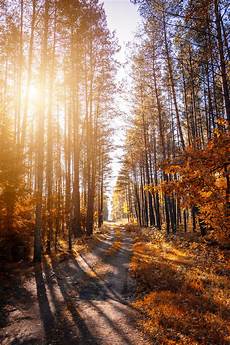 Wallpapers Photo by 1000 Great Bright Photos 183 Pexels 183 Free Stock Photos Wallpapers Photo