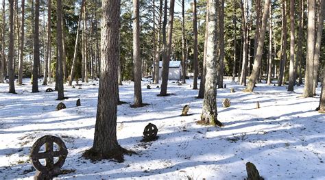 SARAPUU HOME ACCOMMODATION (Vormsi) - B&B Reviews & Photos - Tripadvisor