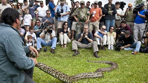 Image result for Attack Florida Human in On Python