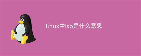 linux中lsb是什么意思-linux运维-PHP中文网