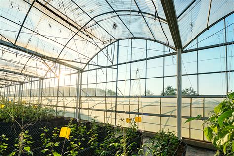 The Differences of Polycarbonate Sheets and Acrylic Sheets - Parklane ...