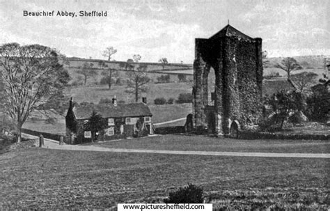 Searching Picture Sheffield