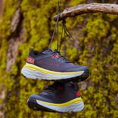 Amberjack Shoes Review - Must Read This Before Buying