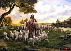 shepherds 的图像结果