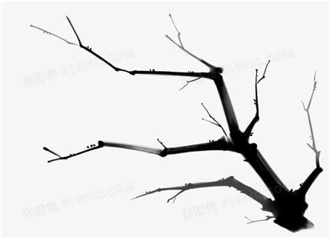 枯树枝图片素材免费下载 - 觅知网