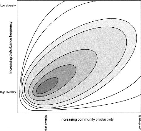 Image result for Dynamic Equilibrium Model