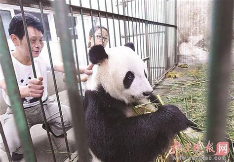 北动熊猫与奥运_中国