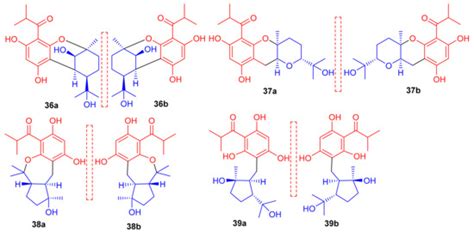 Biomolecules | Special Issue : Bio-Inspired Antiproliferative Molecules ...