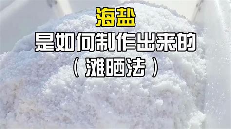 盐城中国海盐博物馆：“寻盐”研学之旅_我苏网