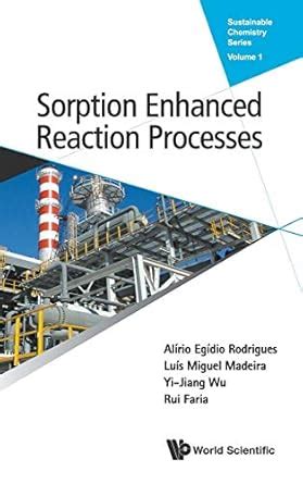 Buy Sorption Enhanced Reaction Processes: 1 (Sustainable Chemistry ...
