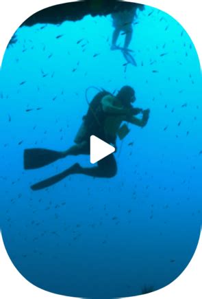 Company Profile and Founding Information | ESET