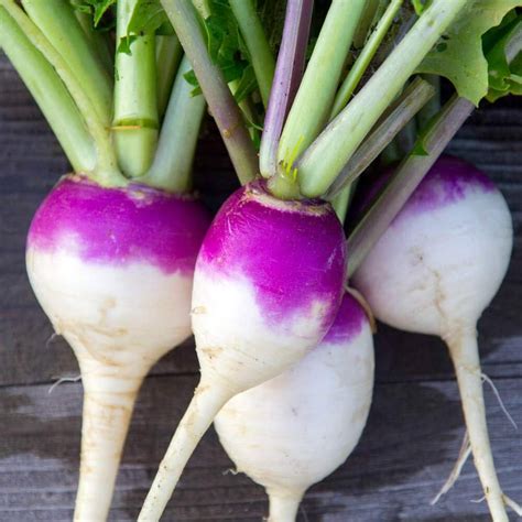 Turnip Brassica Rapa Seven Top Vegetable Seeds for Planting – Leafy ...
