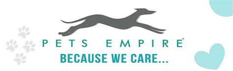 Pets Empire Pet Wet Wipes for Dogs, Puppies, & Pets Paw Cleaning, and ...