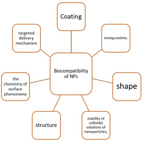 Image result for Nanoparticles Biocompatibility