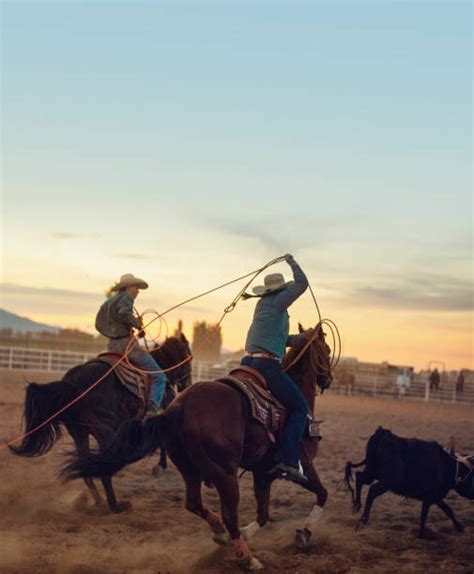 Image result for Girls Team Roping