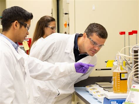 BioPharm Process 的图像结果