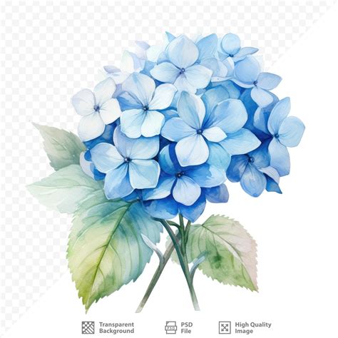 Image result for HTML Code for Bubble Text
