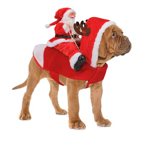 Large Dog Christmas Costumes | canoeracing.org.uk