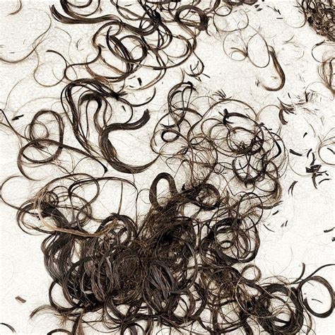 Pin de Hct em hair chopped off | Imagens de rua, Cachos, Frases de ...