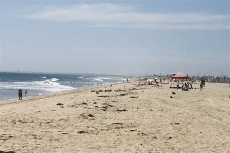Bolsa Chica State Beach, a California State Park located near Aliso ...