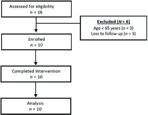 Program-Enrolled Example 的图像结果