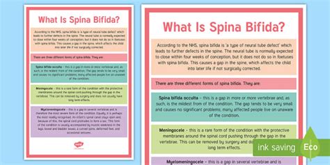 Spina Bifida Resources for Teachers - A4 Display Poster