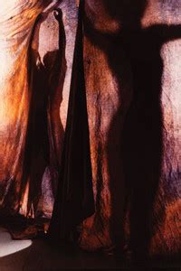 Shadow Dancing-64 Poster Paper Print - Decorative posters in India ...