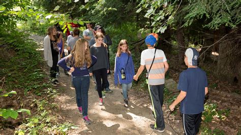 nature-walk - Camp Young Judaea Sprout Lake
