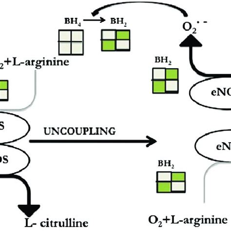 Image result for Maths Algorithm Year 5
