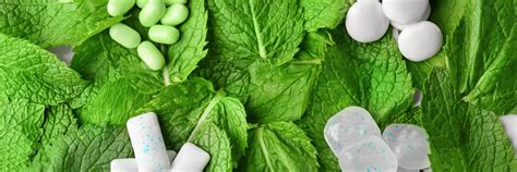 Image result for Fun Taste Tech