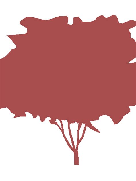 Urban Street: Tree - Dataset Ninja