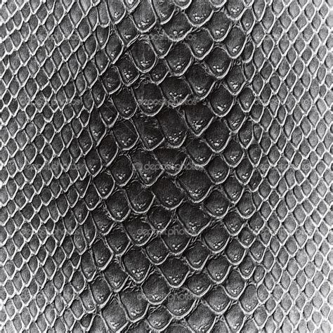 Leather Work Snake Skin 的图像结果