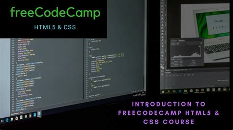 freeCodeCamp Tutorial 的图像结果