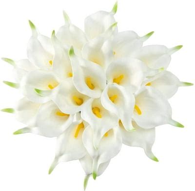 22pcs 13.4 Inch White Lataex Real Touch Artificial India | Ubuy