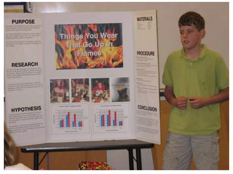 Image result for Example of Science Fair Project