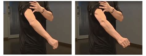 Basic Popper Training 的图像结果