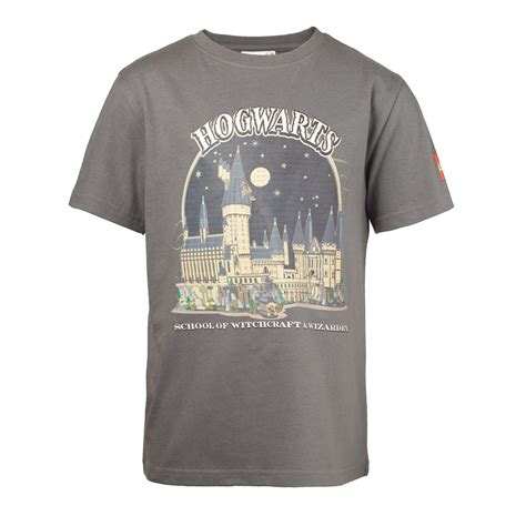 Harry Potter™ T-Shirt Gray 5008033 | Harry Potter™ | Buy online at the ...