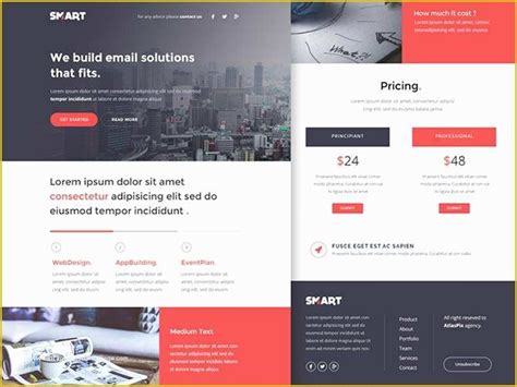 Image result for Sample Newsletter HTML