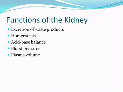 Image result for Kidney Tutorial