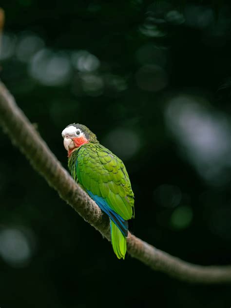 https://images.unsplash.com/photo-1751906380892-8b95090cc797?fm=jpg&ixid=M3wxMjA3fDB8MHxwaG90by1wYWdlfHx8fGVufDB8fHx8fA%3D%3D&ixlib=rb-4.1.0&q=60&w=3000