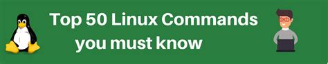 Image result for Linux Server Commands