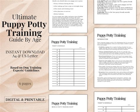 training a puppy age