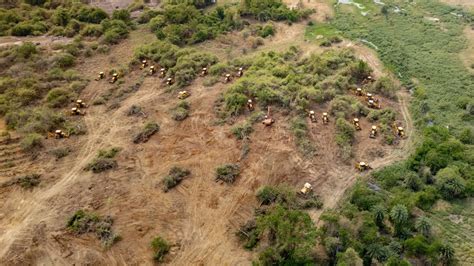 Satellite images confirm deforestation in Hyderabad's Kancha Gachibowli ...