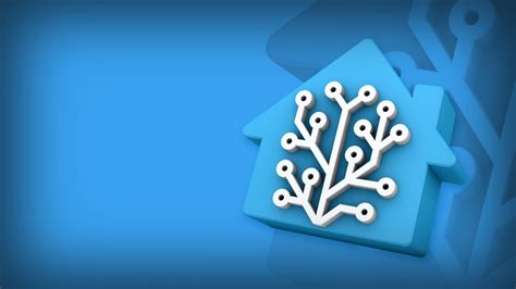 Assign a Static IP to Home Assistant - rapidlydigital
