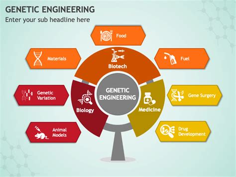 Genetic Engineering Presentation 的图像结果