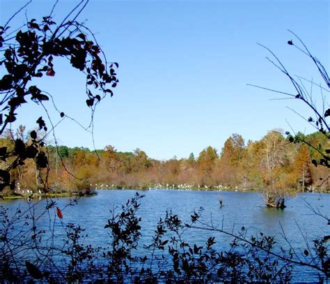 Image result for Stumpy Lake Map