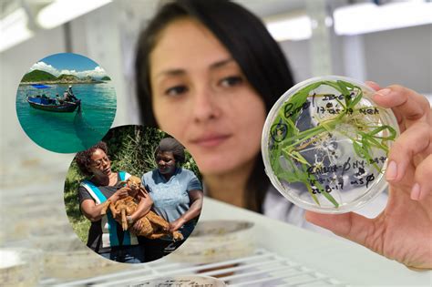 Flagship Report 2025 - CGIAR