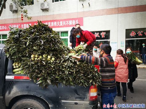 农民蔬菜滞销 四川广汉人争做“带货”网红_县域经济网