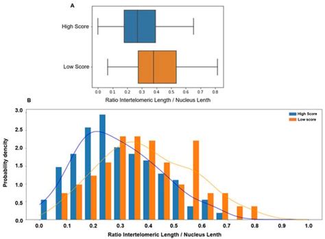 Different Nuclear Architecture in Human Sperm According to Their Morphology
